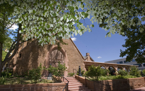 Paul Fraughton | The Salt Lake Tribune
University of Utah scientist Nalini Nadkarni directs a recent tour of the trees at the Cathedral Church of Saint Mark.