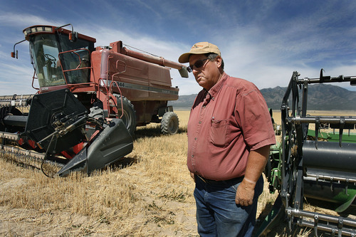Scott Sommerdorf  |  The Salt Lake Tribune             
Jim Smith, a dry land wheat farmer in Cedar Valley, stands near two wheat harvesters on a wheatfield near his property close to Cedar Fort, Monday, July 23, 2012. Smith is owed money by the Lehi Roller Mills, but says he'll wait out payment because of the Mills' importance to local farmers. Smith's family has been doing business with the Roller Mills since 1916.