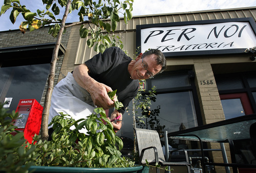 Scott Sommerdorf  |  The Salt Lake Tribune             
Owner of Per Noi Trattoria, Francesco Montino cuts some fresh basil for a caprese salad, Friday, July 20, 2012.