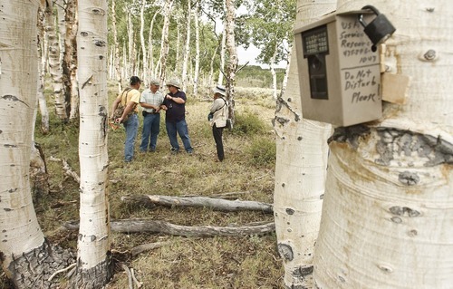 Leah Hogsten  |  The Salt Lake Tribune
Members of a team trying to save young aspen on Monroe Mountain inspect a stand where motion-sensor cameras are recording what animals eat the young growth. The collaboration is lead by Stanley Kitchen (second from left), a botanist with the U.S. Forest Service. Members of the team include, left to right, Tom Tippets, grazing improvement coordinator with the Utah Department of Agriculture and Food, Kim Chapman, livestock agent with Utah State University and Mary O'Brien, with the Grand Canyon Trust.