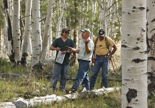 Leah Hogsten  |  The Salt Lake Tribune
A team of environmentalists, government officials and ranchers are working to come up with solutions to problems with the health of the aspen stands on Monroe Mountain. (Left to right) Kevin Mueller, program director of the Utah Environmental Congress, Stanley Kitchen, a botanist with the U.S. Forest Service and Tom Tippets, grazing improvement coordinator with the Utah Department of Agriculture and Food share a laugh while walking through a stand in the area of Upper Box Creek Reservoir.