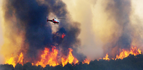 Steve Griffin | The Salt Lake Tribune


A helicopter hovers over a pond as it fills its water bucket with water as a the ridge line explodes in flames as a wildfire burns out of control near Camp Williams and Eagle Mountain, Utah Monday August 6, 2012.