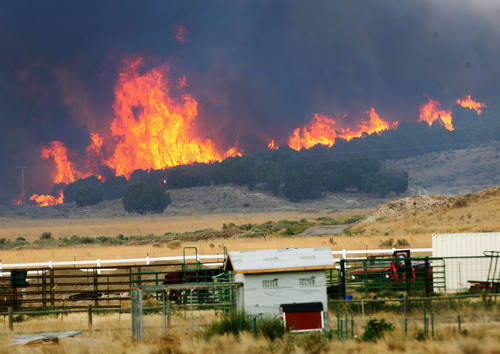 Steve Griffin | The Salt Lake Tribune


A wildfire burns out of control near Camp Williams and Eagle Mountain, Utah Monday August 6, 2012.