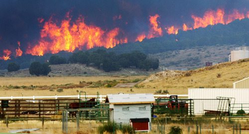 Steve Griffin | The Salt Lake Tribune


A wildfire burns out of control near Camp Williams and Eagle Mountain, Utah Monday August 6, 2012.