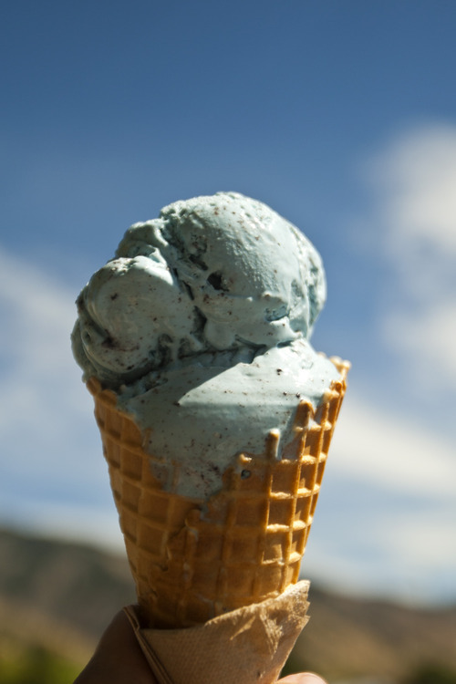 Chris Detrick  |  The Salt Lake Tribune
A cone of Aggie Blue Mint ice-cream at the Utah State University Creamery Wednesday August 1, 2012.