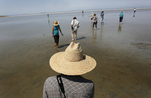 Scott Sommerdorf  |  The Salt Lake Tribune             
Participants on the Ecosystem tour wade in shallow water to investigat the brine shrimp seen in the watres of teh Great Salt Lake. Jaimi Butler of Westminster College led the walking tour of the intricate and unique ecology of the Great Salt Lake, Saturday, August 11, 2012.