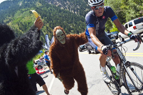 Chris Detrick  |  The Salt Lake Tribune
Sasquatch Corey Unger, of Salt Lake City, and gorilla Kevin Hashimoto, of Salt Lake City, cheer on a biker as he races up Little Cottonwood Canyon during the Ultimate Challenge presented by Larry H. Miller Tour of Utah Saturday August 11, 2012. The traditional 100-mile route features 9,456 feet of climbing and a summit finish at Snowbird Ski and Summer Resort