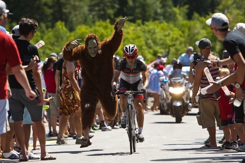 Chris Detrick  |  The Salt Lake Tribune
Sasquatch Corey Unger, of Salt Lake City, cheers on Matthew Busche, of Team RadioShack-Nissan Trek, as he races up Little Cottonwood Canyon during Stage 5 of the Tour of Utah Saturday August 11, 2012. The 101.1 mile stage raced from Newpark Resort at Kimball Junction to Snowbird Resort.