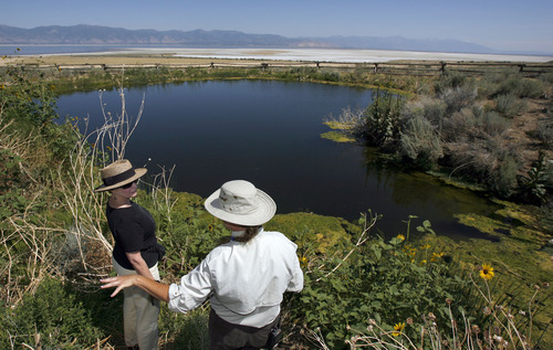 Francisco Kjolseth  |  The Salt Lake Tribune
Park ranger Ellen Labotka shows Bonnie Mcfarlane of Ogden and oasis rarely seen on Antelope Island called the upper Garden Pond created to help the endangered small Least Chub fish. Labotka was teaching about some of the many island resources on Antelope Island State Park and why and how they are cared for including the peregrine falcon, historic mulberry grove, fresh water springs, Least Chub fish and wheat fields.