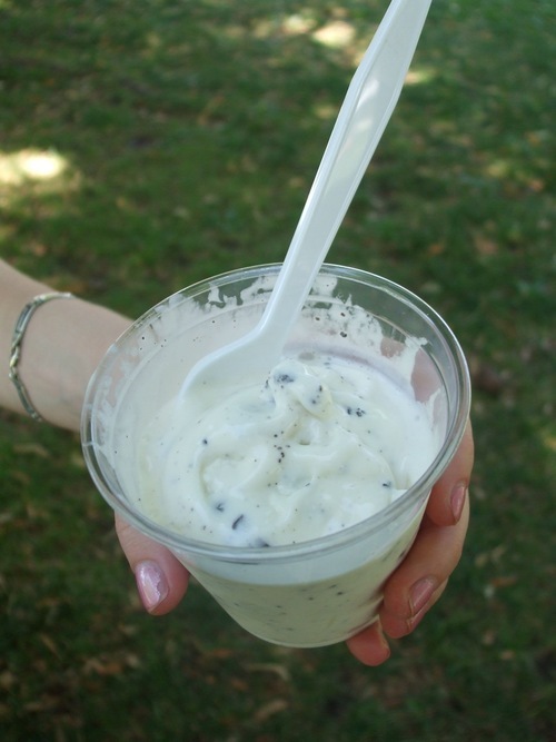 The Salt Lake Tribune | Kathy Stephenson
The Albino grasshopper frozen yogurt at CAMP is made with oreo cookies and York Peppermint patties.