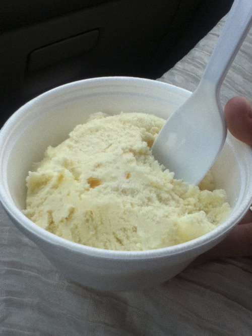 Cathy Reese Newton | The Salt Lake Tribune
Orange coriander ice cream from Chabaar in Midvale.