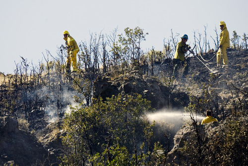 Kim Raff | The Salt Lake Tribune
Firefighters work to contain a brush fire in Wanship on Wednesday, Sept. 5, 2012. The fast-moving brush fire forced some residents to evacuate.