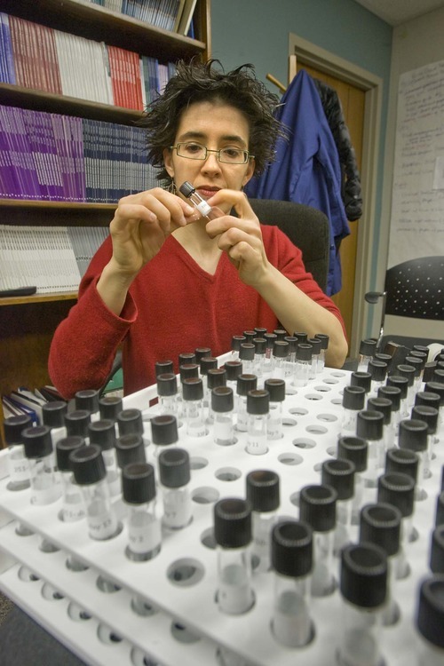 Associate professor of psychology and gender studies at the University of Utah, Lisa Diamond readies test tubes to be used in an upcoming experiment to measure hormone levels in human saliva.  Thursday, December 17,2009  photo:Paul Fraughton/ The Salt Lake Tribune
