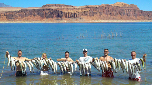 Lake Powell • If you like fishing, now is the time - The ...