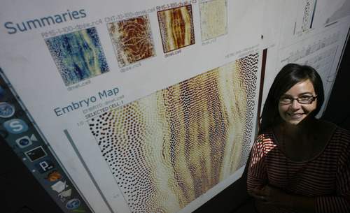 Francisco Kjolseth  |  The Salt Lake Tribune
Miriah Meyer, a University of Utah assistant professor of computer science, is trying to re-invent the way scientists visualize data. One example is her depiction of a developing fruit fly embryo, at left, that helps scientist understand how the cells become eyes, wings or stomachs and visually being able to compare them to other insects.