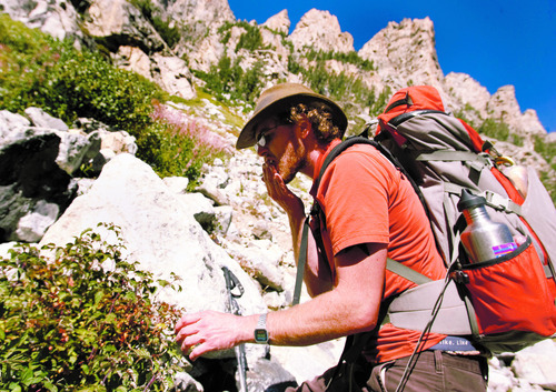 Leah Hogsten  |  The Salt Lake Tribune
Veteran Chad Jukes, 28, who grew up in North Logan, eats wild raspberries from bushes along the route to the middle saddle of the Grand Teton. Jukes, ever jovial and chatty along the hike jokes about his prosthetic leg, 