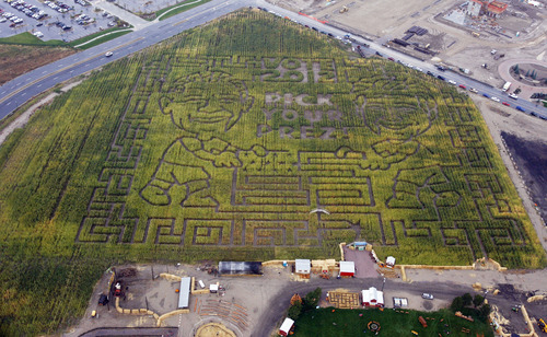 Francisco Kjolseth  |  The Salt Lake Tribune
Thanksgiving Point in Lehi shows off its latest corn maze that will allow visitors to 