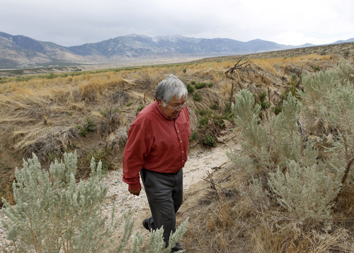 Al Hartmann    The Salt Lake Tribune
Ed Naranjo, chairman of the Confederated Tribes of the Goshute Reservation, walks down a dry stream bed on the west side of the Deep Creek Mountains.  The creek normally runs dry in the summer months but this year didn't flow at all. Western Utah has experienced the driest 12 months in history this year despite the monsoonal rain in July and August.  It has affected farmers, ranchers and wildlife.