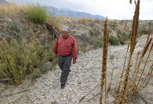 Al Hartmann    The Salt Lake Tribune
Ed Naranjo, chairman of the Confederated Tribes of the Goshute Reservation, walks down a dry stream bed on the west side of the Deep Creek Mountains.  With the extended, severe drought and the threat of thirsty Las Vegans seeking to tap water underlying valleys along the Utah-Nevada line, Naranjo is wondering about the feasibility of agriculture initiatives the tribe is considering.