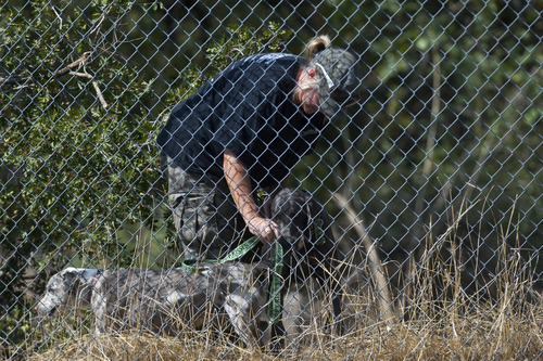 Chris Detrick  |  The Salt Lake Tribune
A member of the Salt Lake City Police Department searches with cadaver dog near 1400 South and 1900 East in Salt Lake City Saturday September 29, 2012. Reed Jeppson was 15 when he was last seen on Oct. 11, 1964.