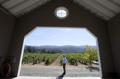 In this photo taken Thursday, Aug. 9, 2012, Cathy Corison smells a glass of Cabernet Sauvignon near her vineyard at Corison Winery in St. Helena, Calif. In 1978, the first vintage Corison worked harvest, she could count on one hand the number of women she knew of doing the same kind of work in the cellars of the Napa Valley. A lot more women work as winemakers today, though research by Santa Clara University professors Lucia Albino Gilbert and John Gilbert found that just under 10 percent of California wineries have women as the main or lead winemaker. (AP Photo/Eric Risberg)
