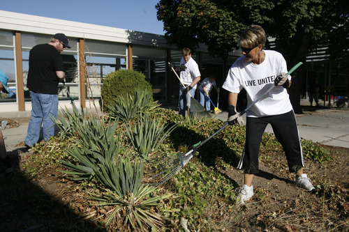 Francisco Kjolseth  |  The Salt Lake Tribune
Cindy Bates joins other volunteers from 3M Health Information Systems and Holland & Hart as they help clean up the grounds at Kearns Junior High. Numerous volunteers pulled weeds in the courtyard, moved new tables to the science lab and  helped tutor students in math and reading as part of the state-wide United Day of Caring.