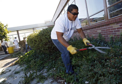 Francisco Kjolseth  |  The Salt Lake Tribune
Tielu Sagala joins other volunteers from 3M Health Information Systems and Holland & Hart as they help clean up the grounds at Kearns Junior High on Thursday, September 13, 2012. Numerous volunteers pulled weeds in the courtyard, moved new tables to the science lab and  helped tutor students in math and reading as part of the state-wide United Day of Caring.