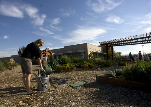 Kim Raff | The Salt Lake Tribune
Garden director Stacy Perkins fills a bucket in the garden at Dancing Moose Montessori School that was created with the help of Probar, an organic snack company in West Valley City, Utah on September 14, 2012.