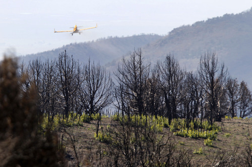Al Hartmann  |  The Salt Lake Tribune
Native and non-native seed mixture is spread by plane across  areas burned by this summer's Wood Hollow Fire near Mount Pleasant. The seeds will help with erssion problems and provide food for wildlife as the ground heals.