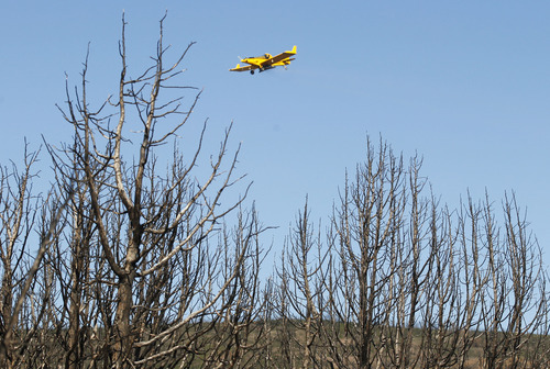 Al Hartmann  |  The Salt Lake Tribune
Native and non-native seed mixture is spread by plane across  areas burned by this summer's Wood Hollow Fire near Mount Pleasant. The seeds will help with erosion problems and provide food for wildlife as the ground heals.