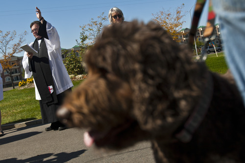 Chris Detrick  |  The Salt Lake Tribune
Priest Associate Steve Andersen blesses animals during the Blessing of the Beasts at the Episcopal Church of the Resurrection in Centerville Saturday October 6, 2012. This annual event was a continuation of the commemoration of St. Francis of Assisi and his love of all creatures.