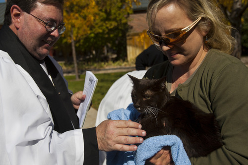 Chris Detrick  |  The Salt Lake Tribune
Priest Associate Steve Andersen blesses a cat during the Blessing of the Beasts at the Episcopal Church of the Resurrection in Centerville Saturday October 6, 2012. This annual event was a continuation of the commemoration of St. Francis of Assisi and his love of all creatures.