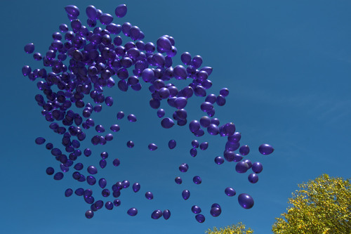 Chris Detrick  |  The Salt Lake Tribune
Balloons that represent adult victims of physical domestic violence are release outside of Sandy City Hall Tuesday October 9, 2012. October is National Domestic Violence Awareness month.