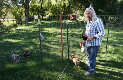 Steve Griffin | The Salt Lake Tribune


Terry MacArthur, 62, with his chickens in the backyard of his Ogden, Utah home Monday October 8, 2012. MacArthur lives on VA disability and recently bought this home in Ogden, a place he believed allowed backyard chickens. He had checked the city ordinances online and found they had certain guidelines and requirements but the statutes said they were allowed. Recently he received a citation from the city telling him he had to get rid of them within 15 days because the city's code enforces said zoning does not allow backyard chickens and the ordinances he read are old ones that are still on the books. After 15 days, fines kick in and get pretty hefty over time, even with threatened criminal prosecution. MacArthur and his wife love their six chickens and plan to fight to keep them.