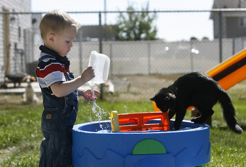 Scott Sommerdorf  |  The Salt Lake Tribune             
Damien Cook has autism. He loves to play with water and feel the tactile sensation of the water on his hands as he is doing here with his cat 