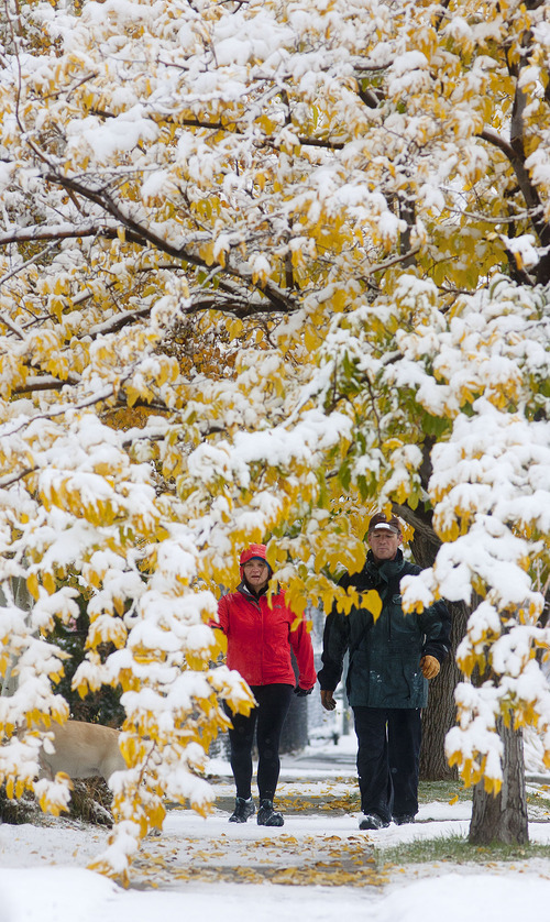 Steve Griffin | The Salt Lake Tribune
Matt and Anne Parkin walk with their dog, Stella, as snow clings to the colorful leaves near Hogle Zoo in Salt Lake City on Thursday.