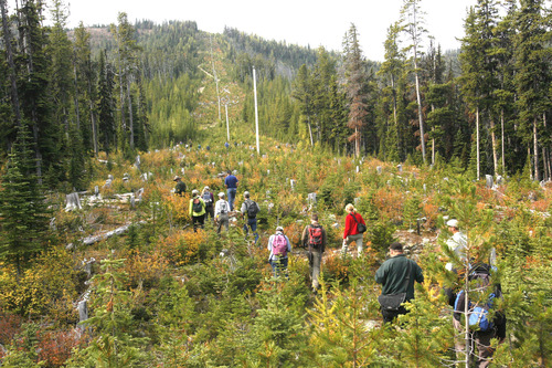 Rick Egan  |  The Salt Lake Tribune 

Participants from a whitebark pine symposium explore a forest near Kimberley, British Columbia, Canada, Saturday, September 15, 2012.