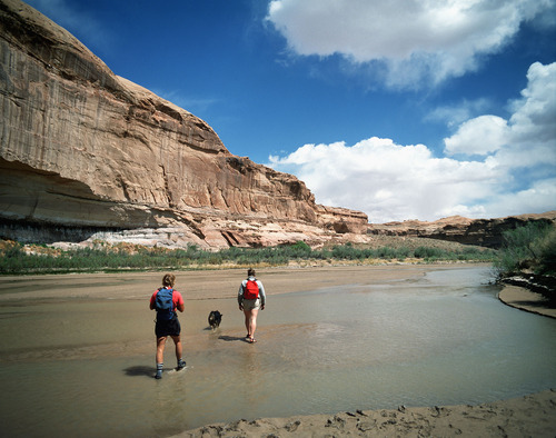 Al Hartmann  |  The Salt Lake Tribune
;Hikers and their dog take a walk down the shallow water of the Dirty Devil River. The Dirty Devil area is on the Southern Utah Wilderness Alliance list of Utah's ten most threatened wilderness treasures.