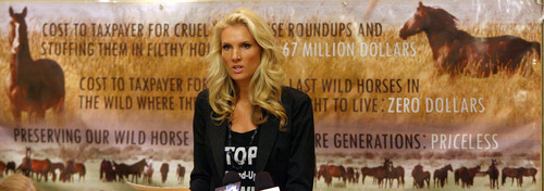 Steve Griffin | The Salt Lake Tribune
Equine advocate Simone Netherlands talks during a press conference sponsored by the Cloud Foundation, Respect4Horses and Wild Horse Freedom Federation, dealing with the current state of America's wild horses and burros. The groups are calling for a halt to all Bureau of Land Management (BLM) roundups and an immediate investigation into allegations that stockpiled wild horses and burros are being sold to known kill buyers for eventual slaughter for human consumption abroad. The press conference was held at the Radisson Hotel in Salt Lake City on Monday October 29, 2012.
