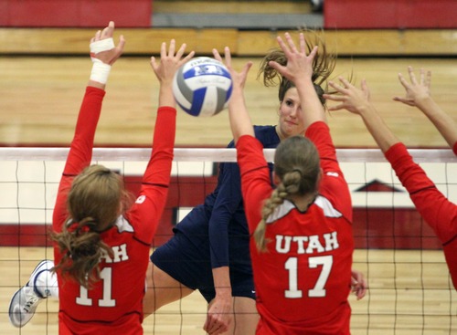 Rick Egan  | The Salt Lake Tribune
Jennifer Hamson, 19, hits the ball over the net for BYU, as Chelsey Schofield, 11, and Erin Redd, 17, defend for the Lady Utes, in volleyball action, Utah vs. BYU, in Salt Lake City.