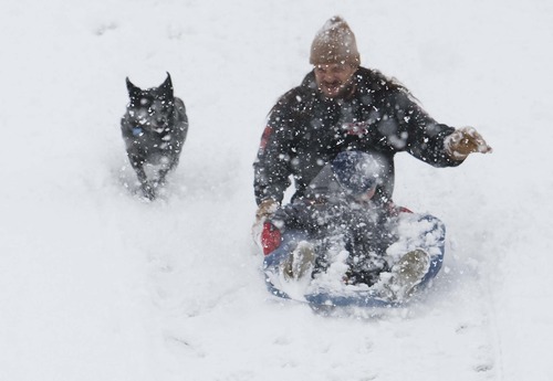 Leah Hogsten  |  The Salt Lake Tribune
"It's a snow day for us," said Marc Tipping, sledding with his son Julian and his dog Onyx, Friday, November 8, 2012 at Liberty Park. Tipping has been working long hours as a roofer and welcomed the needed break.