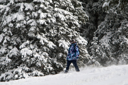 Chris Detrick  |  The Salt Lake Tribune
A snowboarder rides at Brighton Saturday November 10, 2012.
