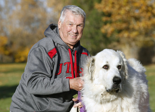 Al Hartmann  |  The Salt Lake Tribune
Patrick Watkins, 74, a Vietnam vet, has always been an avid runner, and ran in 29 marathons. These days, he stays in shape by walking his dog, Bernie. Watkins will be one of the two grand marshals for Taylorsville's Veterans Day parade. Watkins had three tours of duty, received two Purple Hearts and five Bronze Star medals.