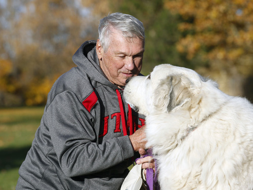 Al Hartmann  |  The Salt Lake Tribune
Patrick Watkins, 74, a Vietnam vet, has always been an avid runner and ran in 29 marathons. These days, he stays in shape by walking his dog, Bernie. Watkins will be one of the two grand marshals for Taylorsville's Veterans Day parade. Watkins had three tours of duty, received two Purple Hearts and five Bronze Star medals.