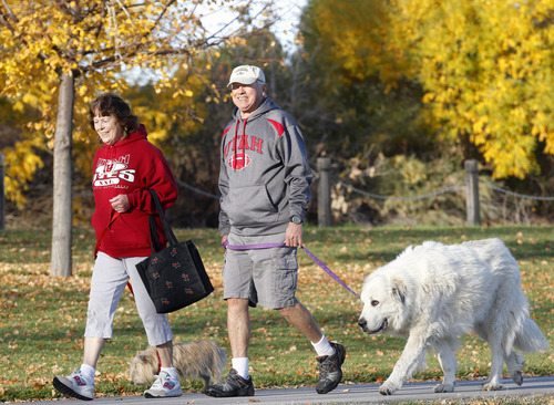 Al Hartmann  |  The Salt Lake Tribune
Patrick Watkins, 74, a Vietnam vet, stays in shape walking three to five miles with his wife, Carol Watkins, and their dogs, Libby and Bernie. Watkins will be one of two grand marshals for Taylorsville's Veterans Day parade. Watkins had three tours of duty, received two Purple Hearts and five Bronze Star medals. He's always been an avid runner, and competed in 29 marathons.