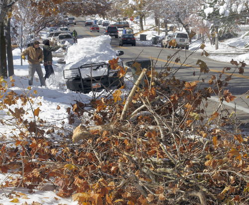 Al Hartmann  |  The Salt Lake Tribune
Broken tree branches from this weekend's snowstorm line the street along Third Avenue in Salt Lake City as people continue to dig out and clean up Monday, Nov. 12. The city announced Tuesday that it would pick up storm-related tree debris placed on the curb from Nov. 19-21.