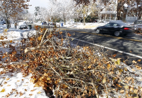 Al Hartmann  |  The Salt Lake Tribune
Broken tree branches from this weekend's snowstorm line the street along Third Avenue in Salt Lake City Monday, Nov. 12.
The city announced Tuesday that it would pick up storm-related tree debris Nov. 19-21.
