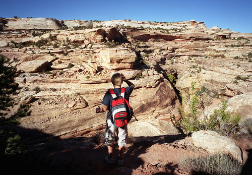 Al Hartmann  |  The Salt Lake Tribune
Young hiker peers over the edge into White Canyon.