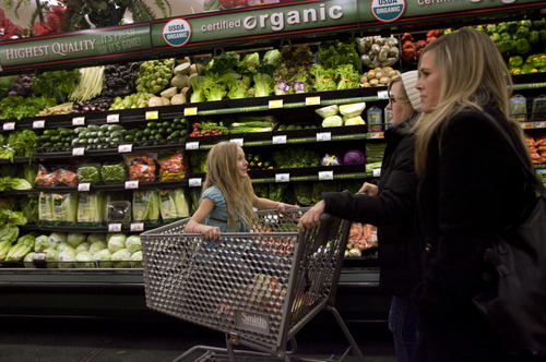 Kim Raff  |  The Salt Lake Tribune
Cammie Hussey pushes her sister Annaliese in the shopping cart as they shop with their mother Cammie at Smith's Food and Drug in Salt Lake City on Wednesday, Nov. 14, 2012.
