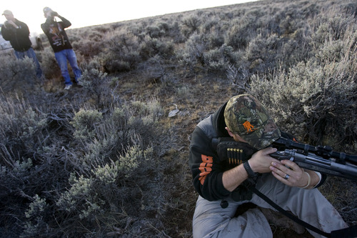 Kim Raff | The Salt Lake Tribune
Ace Redhair considers whether to shoot a buck during an evening hunt in the Diamond Mountain area outside of Vernal on Oct. 30, 2012. Redhair is a wounded Army veteran who was selected for the first-ever Sgt. Daniel D. Gurr Foundation's deer and elk hunt. David Gurr's son, Daniel, died in Afghanistan in August 2011, and he and his wife, Dana, have created a foundation that takes wounded veterans hunting.